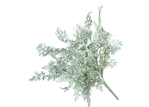 DUSTY MILLER