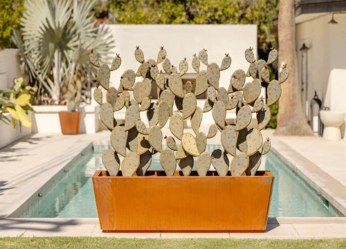 PRICKLY PEAR PLANTER