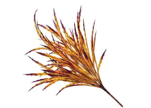 RIBBON GRASS