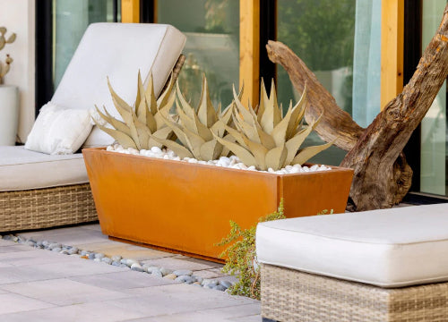 SHARKSKIN AGAVE PLANTER