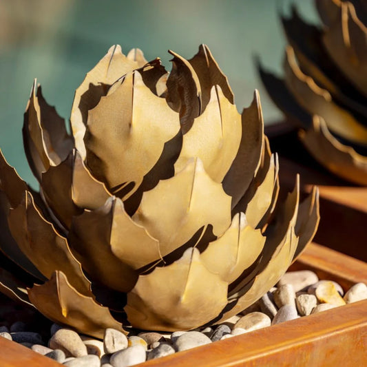 ARTICHOKE AGAVE