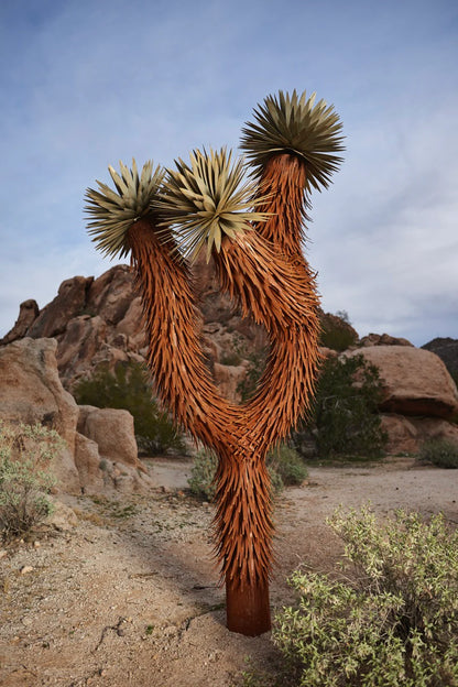 JOSHUA TREE