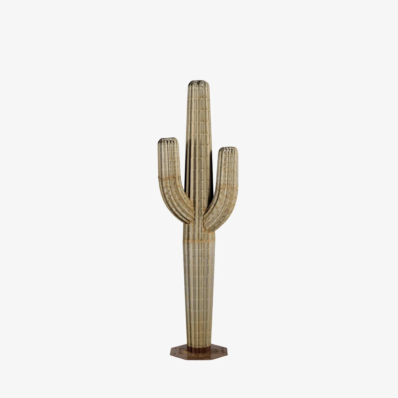 SAGUARO CACTUS