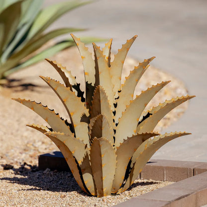 SAWTOOTH AGAVE