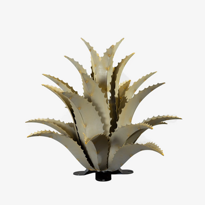 SAWTOOTH AGAVE