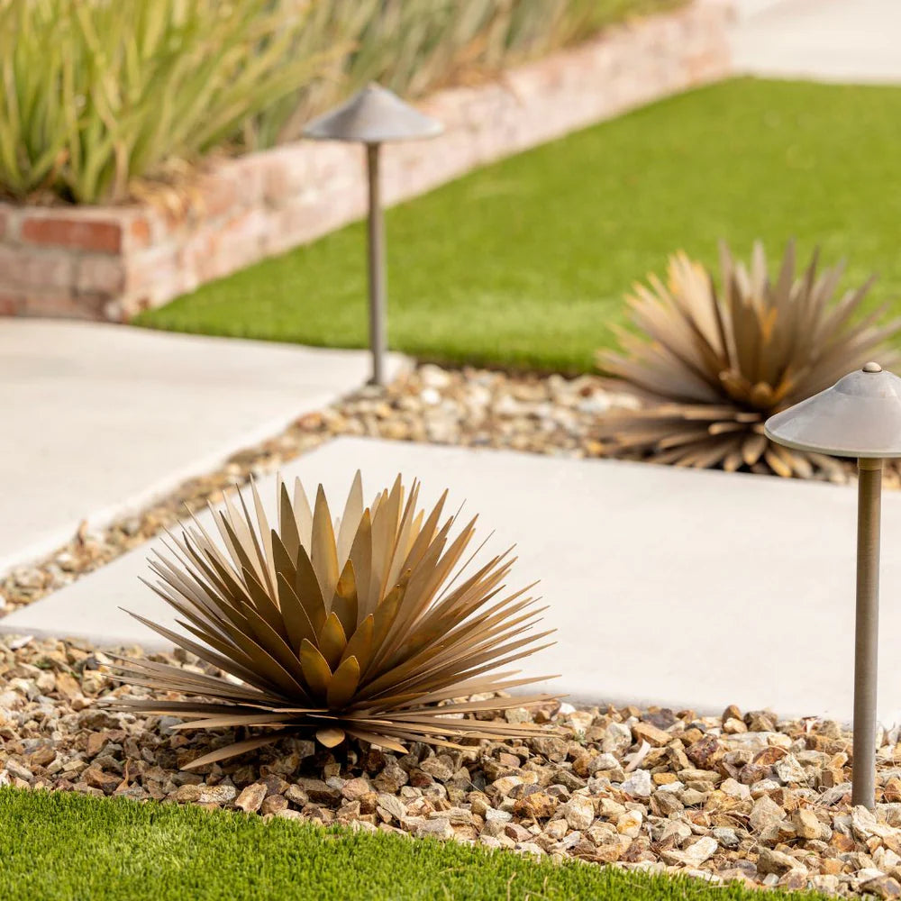 YUCCA
