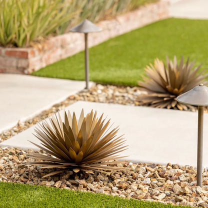 YUCCA