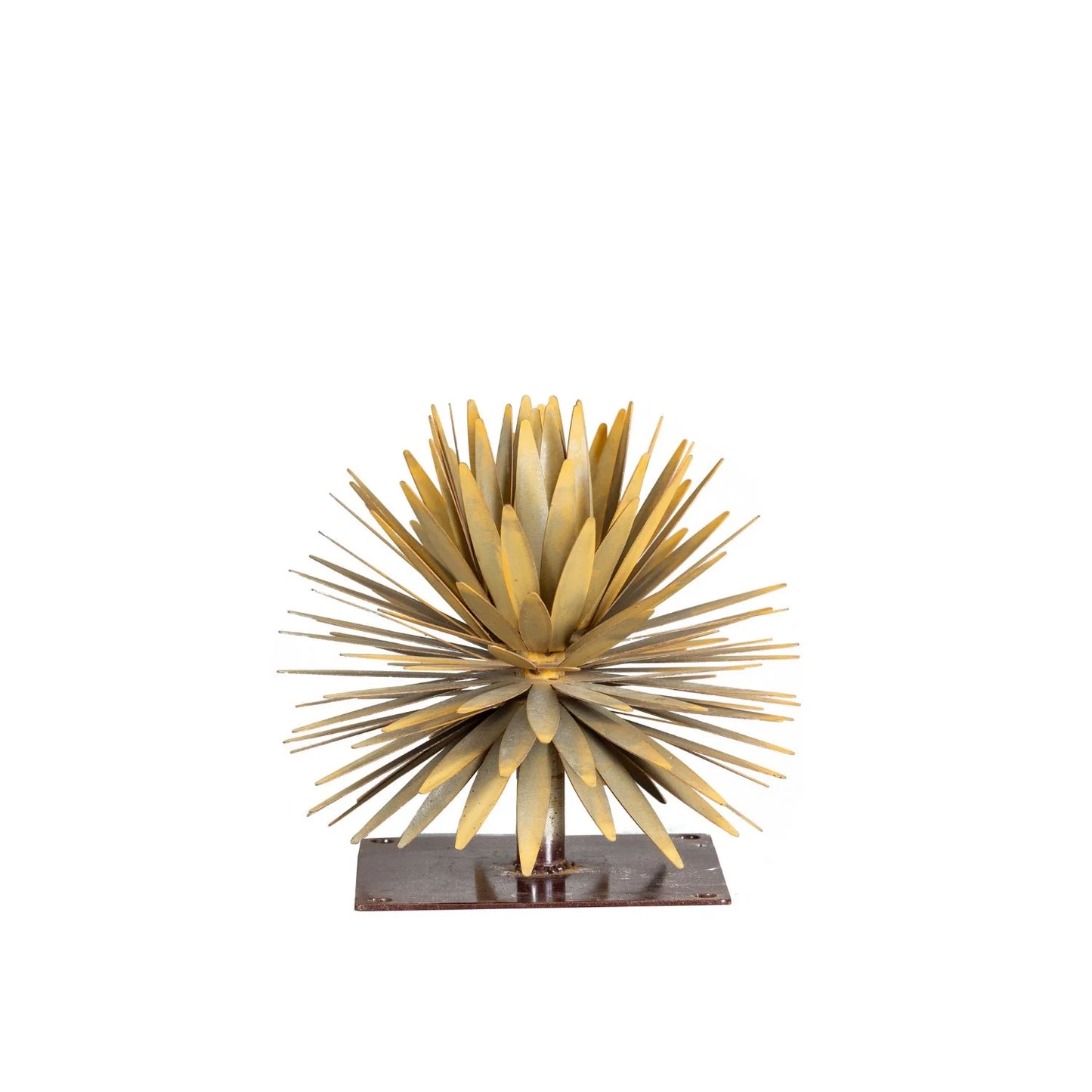 YUCCA