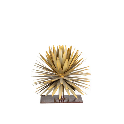 YUCCA